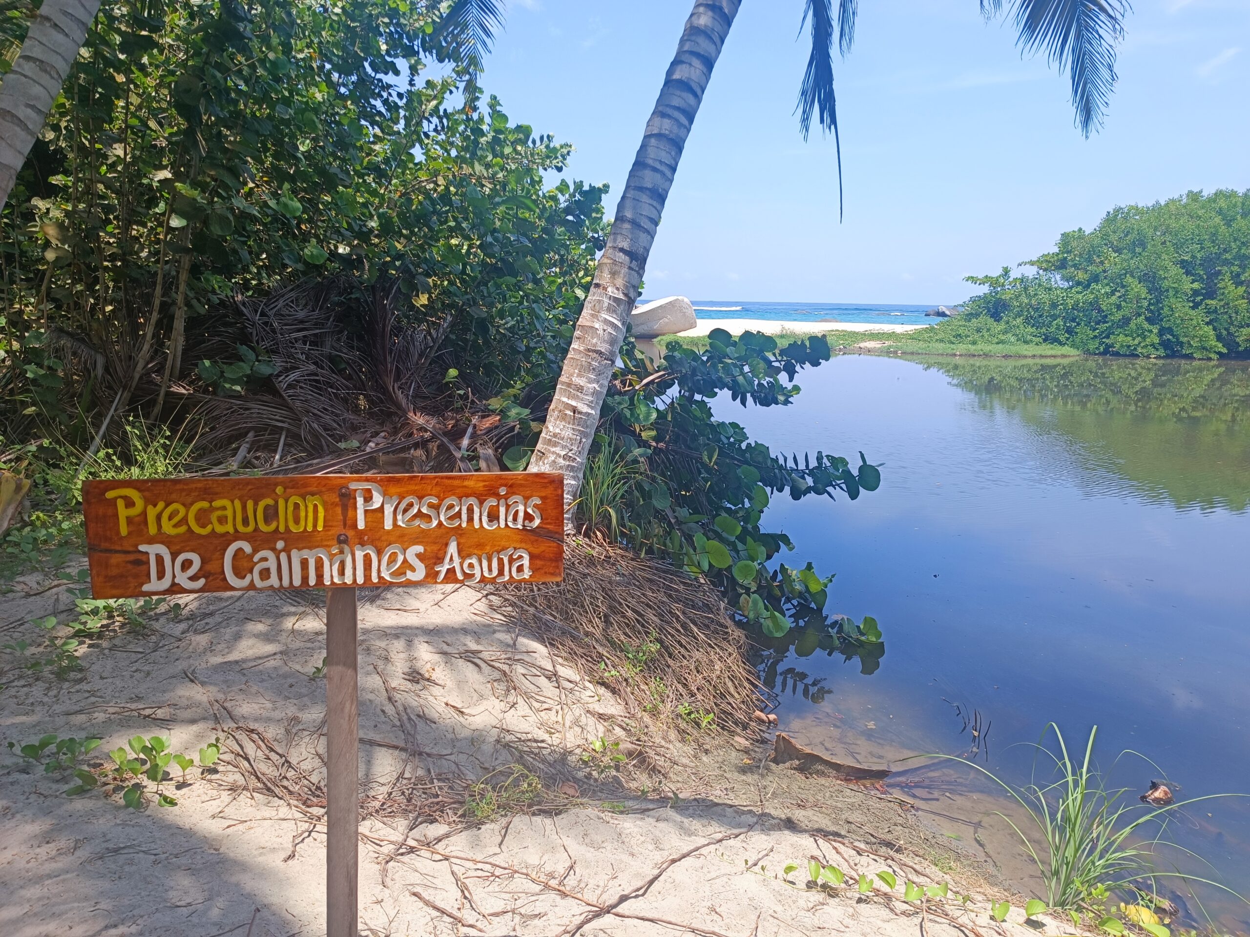 Lire la suite à propos de l’article Parc national naturel de Tayrona